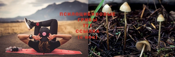 каннабис Алексеевка