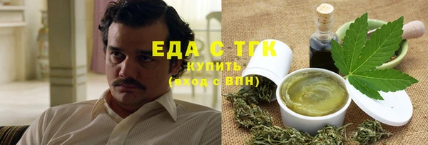 индика Абинск