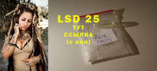 индика Абинск