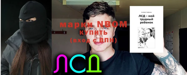 индика Абинск