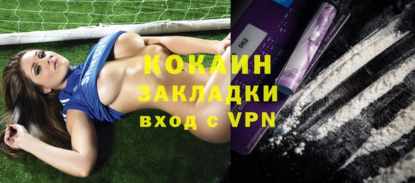 соль ск Дмитриев