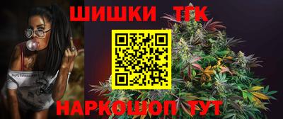 jwh Кингисепп