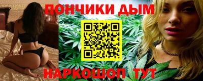 jwh Кингисепп