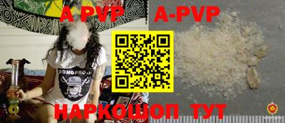 jwh Кингисепп