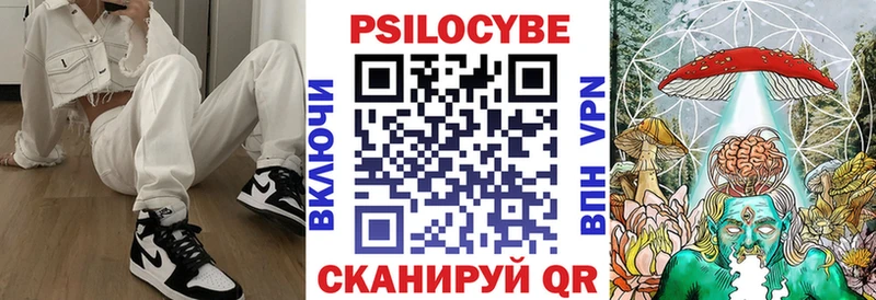 купить  сайты  Нижнекамск  Галлюциногенные грибы Psilocybine cubensis 