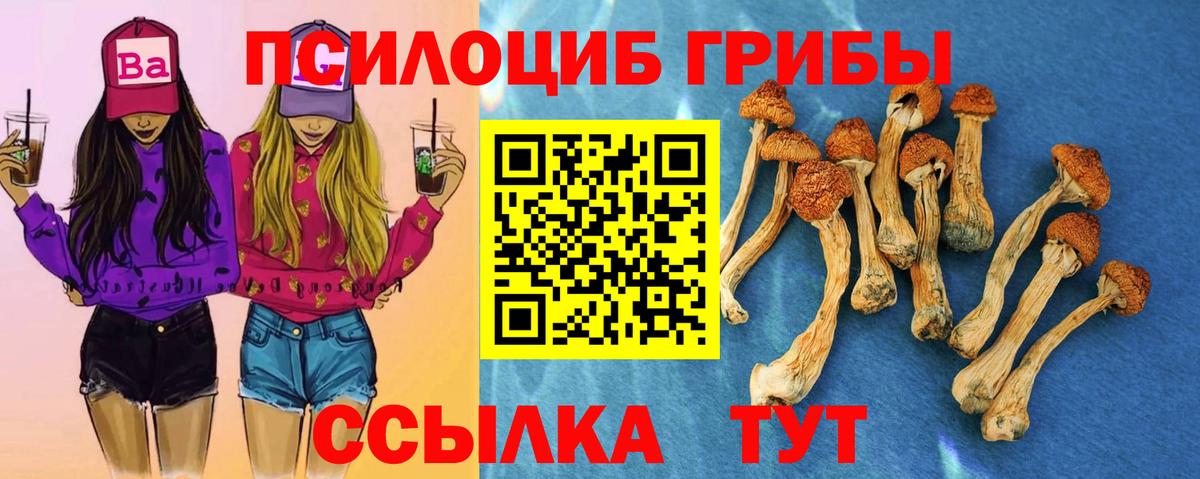 Галлюциногенные грибы MAGIC MUSHROOMS  Вход с VPN  где найти наркотики  Нижнекамск  Псилоцибиновые грибы Cubensis 
